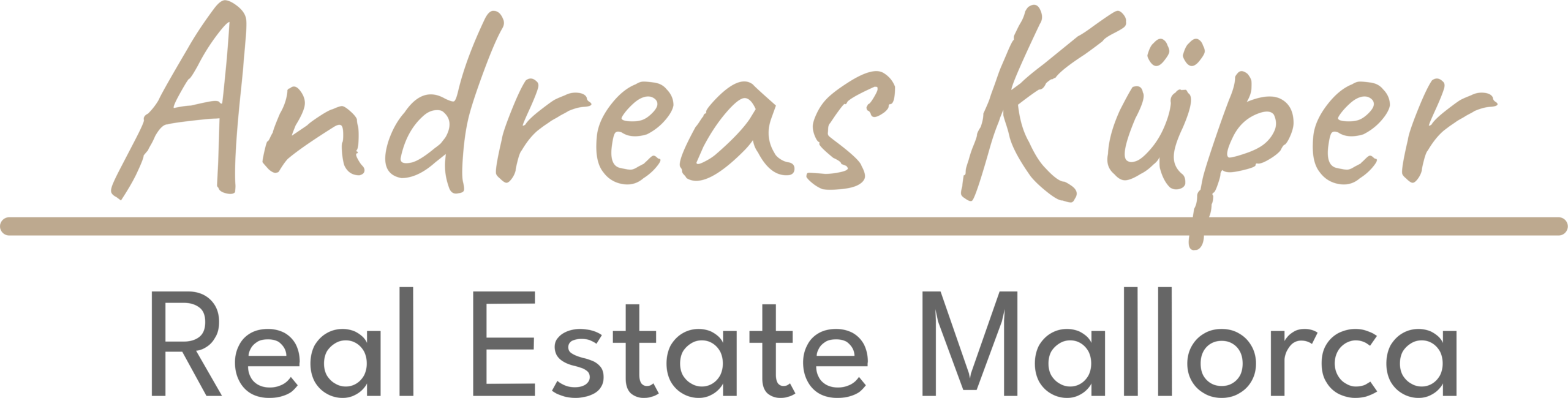 Mustermann Immobilien